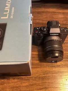 2026年最新】lumix g100dの人気アイテム - メルカリ