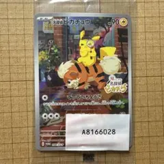 2026年最新】名探偵ピカチュウ promo sv-pプロモカード 098/sv-pの人気