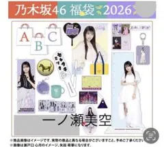 2026年最新】乃木坂 福袋 個別クッションの人気アイテム - メルカリ