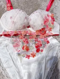 2026年最新】サルート ブラジャー c70の人気アイテム - メルカリ