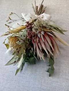 2026年最新】プロテア スワッグの人気アイテム - メルカリ