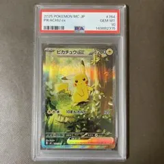 2026年最新】ピカチュウsar psa10の人気アイテム - メルカリ