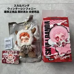 2026年最新】Skullpanda winter symphonyの人気アイテム - メルカリ