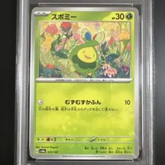 2026年最新】テラスタルフェス boxの人気アイテム - メルカリ