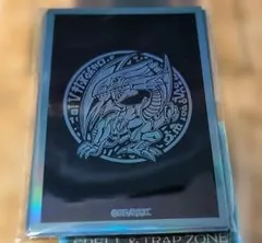 2026年最新】青眼 スリーブ サテライトの人気アイテム - メルカリ