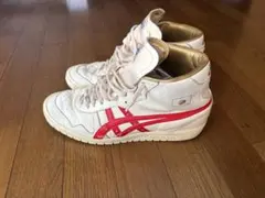 2026年最新】アシックスタイガー ファブレジャパンLの人気アイテム