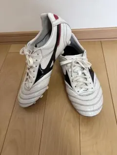 2026年最新】モレリア2Japanの人気アイテム - メルカリ