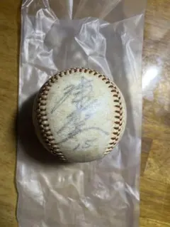 2026年最新】津田恒美 サインボールの人気アイテム - メルカリ