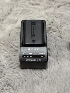 2026年最新】α6400 バッテリー 純正の人気アイテム - メルカリ