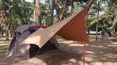 2026年最新】TP-623Rの人気アイテム - メルカリ