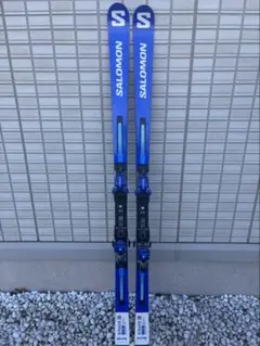 2026年最新】salomon gsの人気アイテム - メルカリ