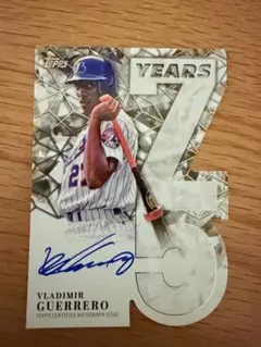 2026年最新】ブラディミール・ゲレーロの人気アイテム - メルカリ