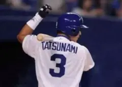 2026年最新】ドラゴンズ 実使用の人気アイテム - メルカリ