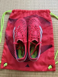 2026年最新】PREDATOR elite fgの人気アイテム - メルカリ