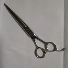 2026年最新】天洋 シザーの人気アイテム - メルカリ