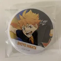 2026年最新】横断幕缶バッジの人気アイテム - メルカリ