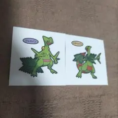 2026年最新】メガジュカインの人気アイテム - メルカリ