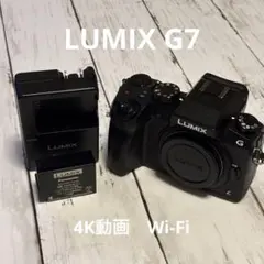 2026年最新】lumix g7の人気アイテム - メルカリ