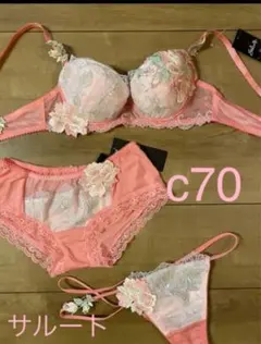 2026年最新】サルート ブラジャー c70の人気アイテム - メルカリ