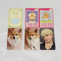 2026年最新】TEOLAEGIの人気アイテム - メルカリ