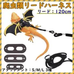 2026年最新】カメレオンリーダーの人気アイテム - メルカリ