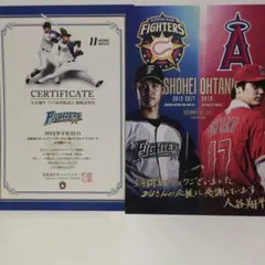 2026年最新】日本ハム 大谷 観戦証明書の人気アイテム - メルカリ