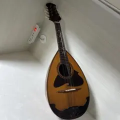 2026年最新】226 マンドリンの人気アイテム - メルカリ