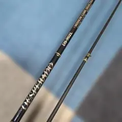 2026年最新】シーバスロッド ダイコーの人気アイテム - メルカリ