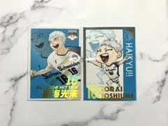 2026年最新】オールスターコレクション ハイキューの人気アイテム