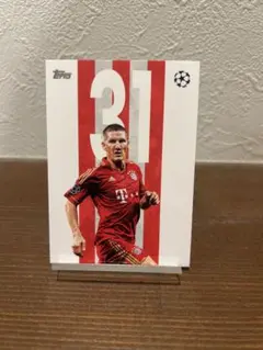 2026年最新】シュバインシュタイガーの人気アイテム - メルカリ