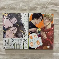 2026年最新】blまとめ売りの人気アイテム - メルカリ