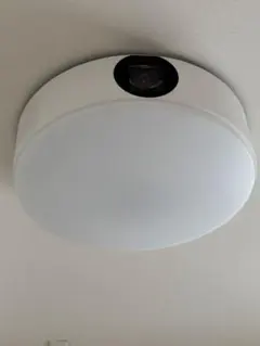 2026年最新】nebula novaの人気アイテム - メルカリ