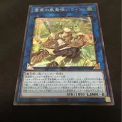 2026年最新】蒼翠の風霊使いウィン シークレットの人気アイテム - メルカリ