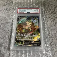 2026年最新】リーフィアv sr psa10の人気アイテム - メルカリ