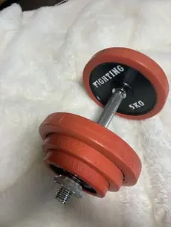 2026年最新】ファイティングロード プレートの人気アイテム - メルカリ