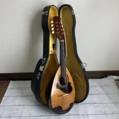 2026年最新】suzuki マンドリン 215の人気アイテム - メルカリ