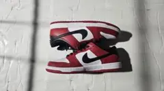 2026年最新】Nike SB Dunk Low Pro Chicagoの人気アイテム - メルカリ