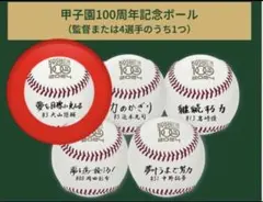 2026年最新】甲子園100周年 ボールの人気アイテム - メルカリ