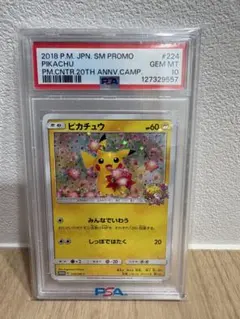 2026年最新】いっしょにたべよ ピカチュウ psa10の人気アイテム - メルカリ