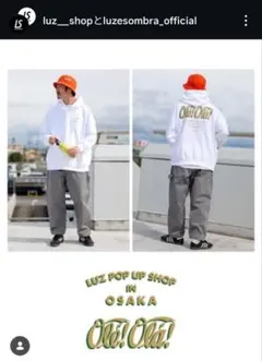 2026年最新】domingo ルースイソンブラ luzesombraの人気アイテム