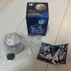 2026年最新】いのちめぐる冒険の人気アイテム - メルカリ