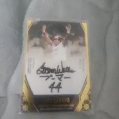 2026年最新】ブーマー サインの人気アイテム - メルカリ