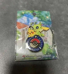2026年最新】ポケモンセンター 名古屋 ピンズの人気アイテム - メルカリ