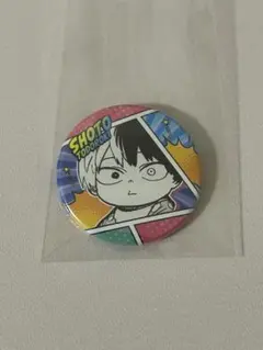 2026年最新】ヒロアカ 幼少期 缶バッジの人気アイテム - メルカリ