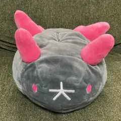 2026年最新】ナマコブシ ティッシュの人気アイテム - メルカリ