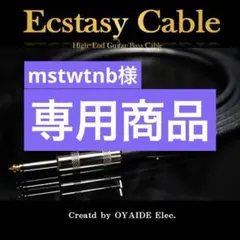 2026年最新】オヤイデ ecstasyの人気アイテム - メルカリ