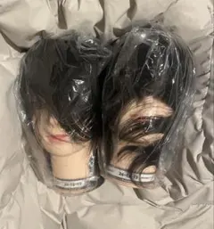 2026年最新】国家試験本番用カットウィッグの人気アイテム - メルカリ