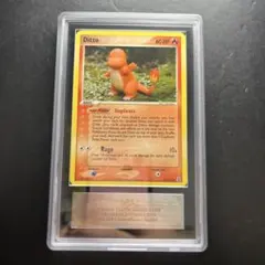 ARS AU 真贋鑑定】英語版メタモン Ditto 37/113 Dヒトカゲ - メルカリ