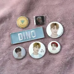 2026年最新】ディノ ワッペン seventeenの人気アイテム - メルカリ