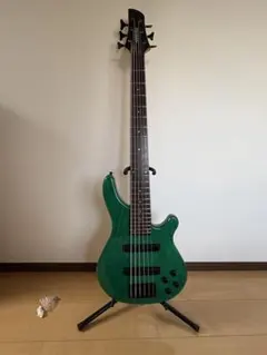 2026年最新】FERNANDES 5弦ベースの人気アイテム - メルカリ